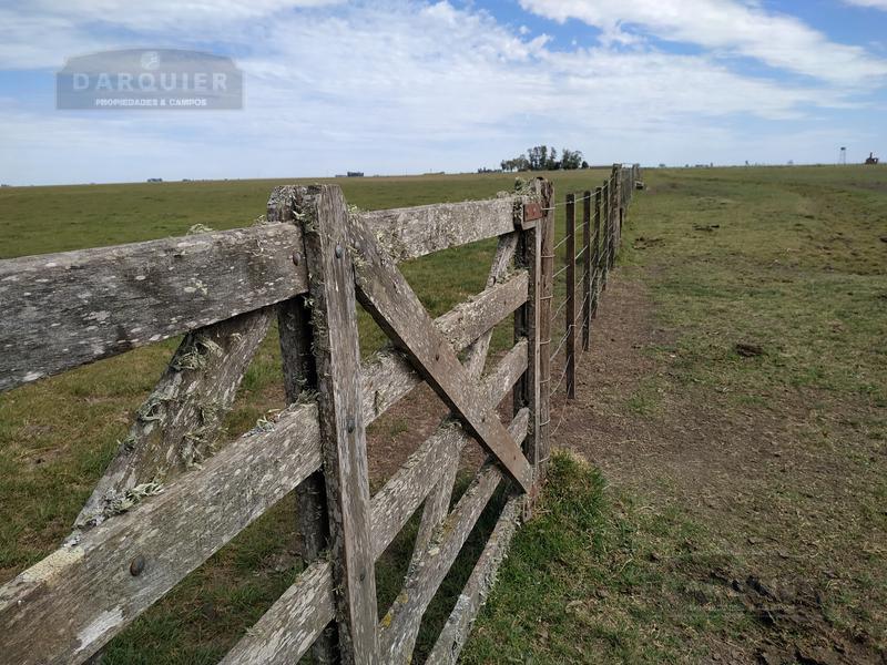 Campo - Dolores