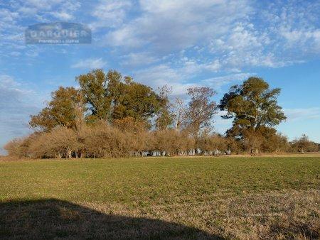 Campo en Lobos