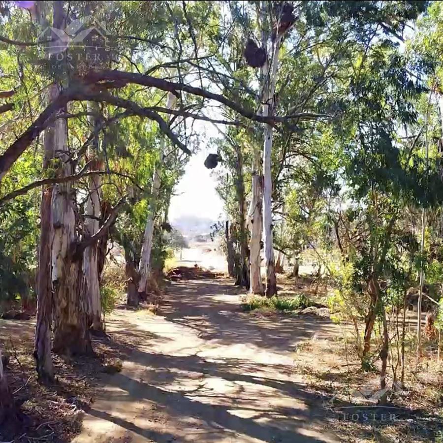 Terreno - San Antonio De Arredondo