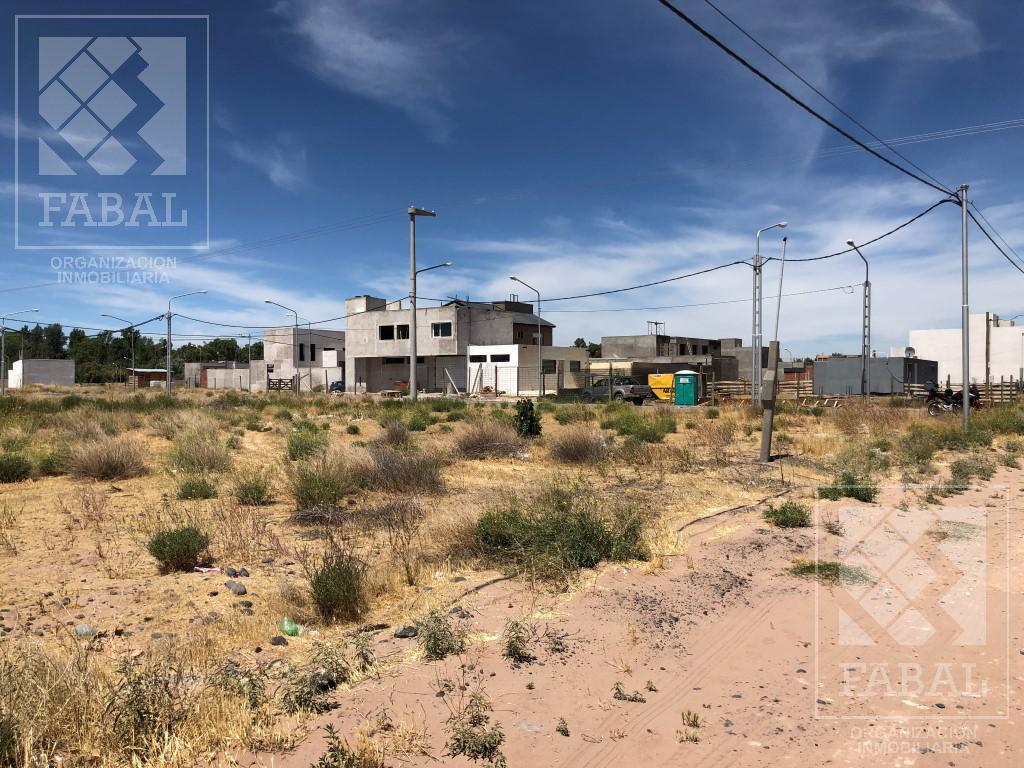 Terreno venta Rincón del Río, Rincón de Emilio, de 300 m2 (12 x 25)