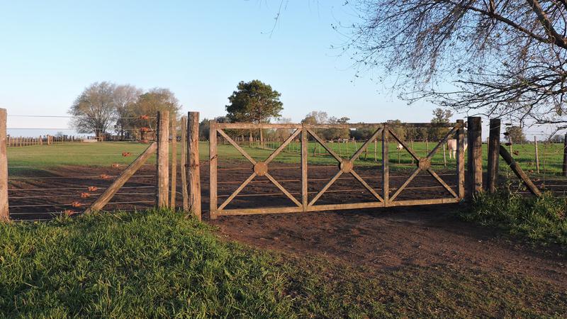 Campo armado en venta de 300 Has en Bolivar