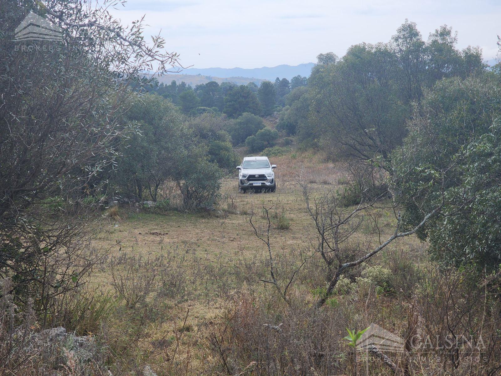 Campo en venta  en San Clemente, Córdoba