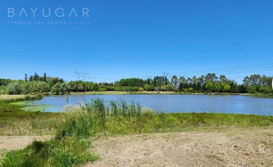 Venta - Lote de 3000 m2 en Chacras de Murray - Bayugar Negocios Inmobiliarios