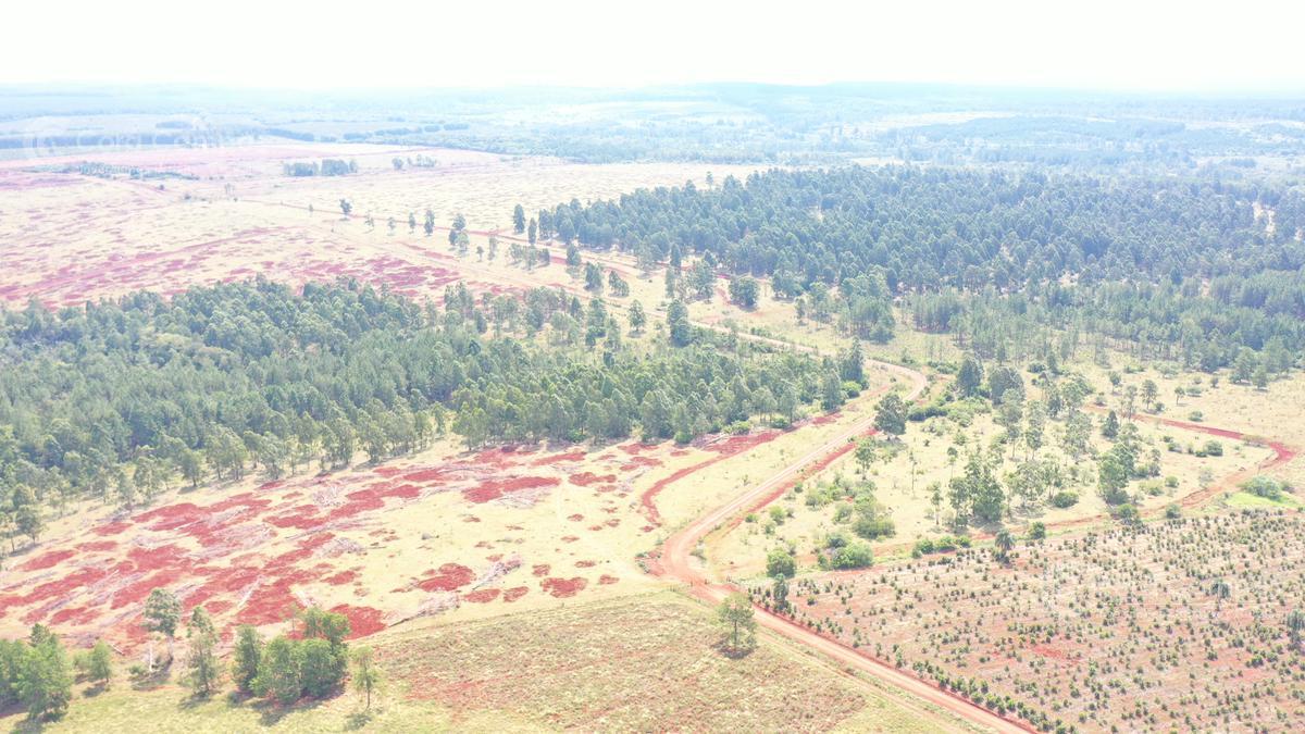 Se vende Campo Tierra colorada. Posadas Misiones. 20 min