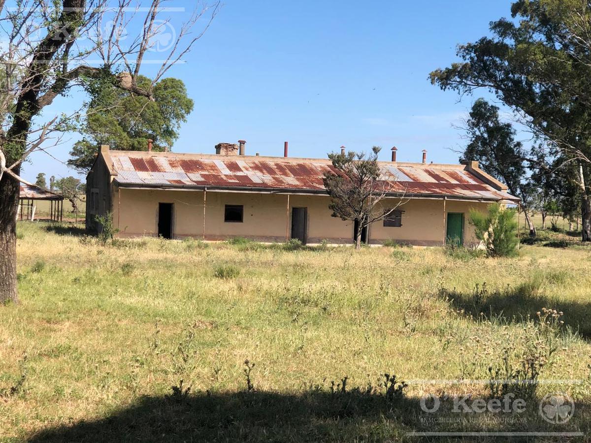 Campo Ganadero de 4300 Has en Bahia Blanca  POTENCIAL PARQUE EOLICO