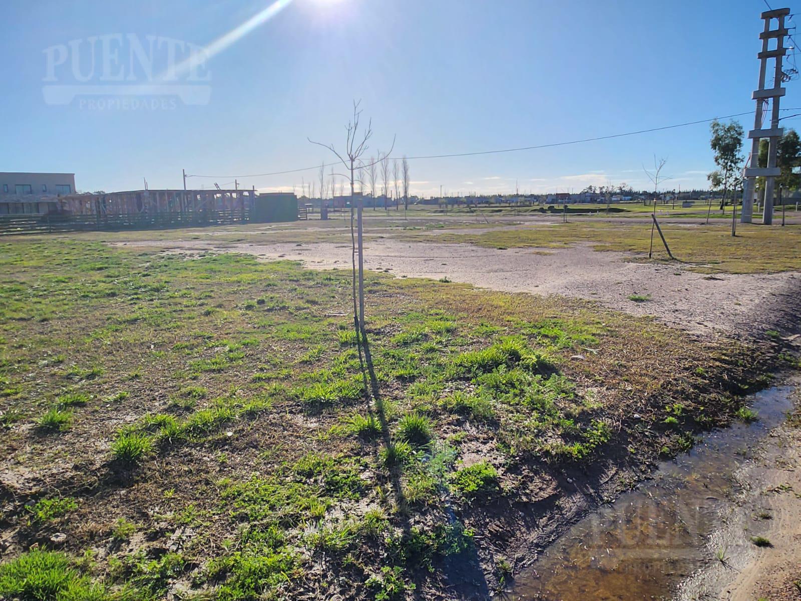 Terreno en Barrio Fincas de San Vicente Laguna