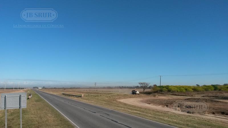 Campo en Monte Cristo