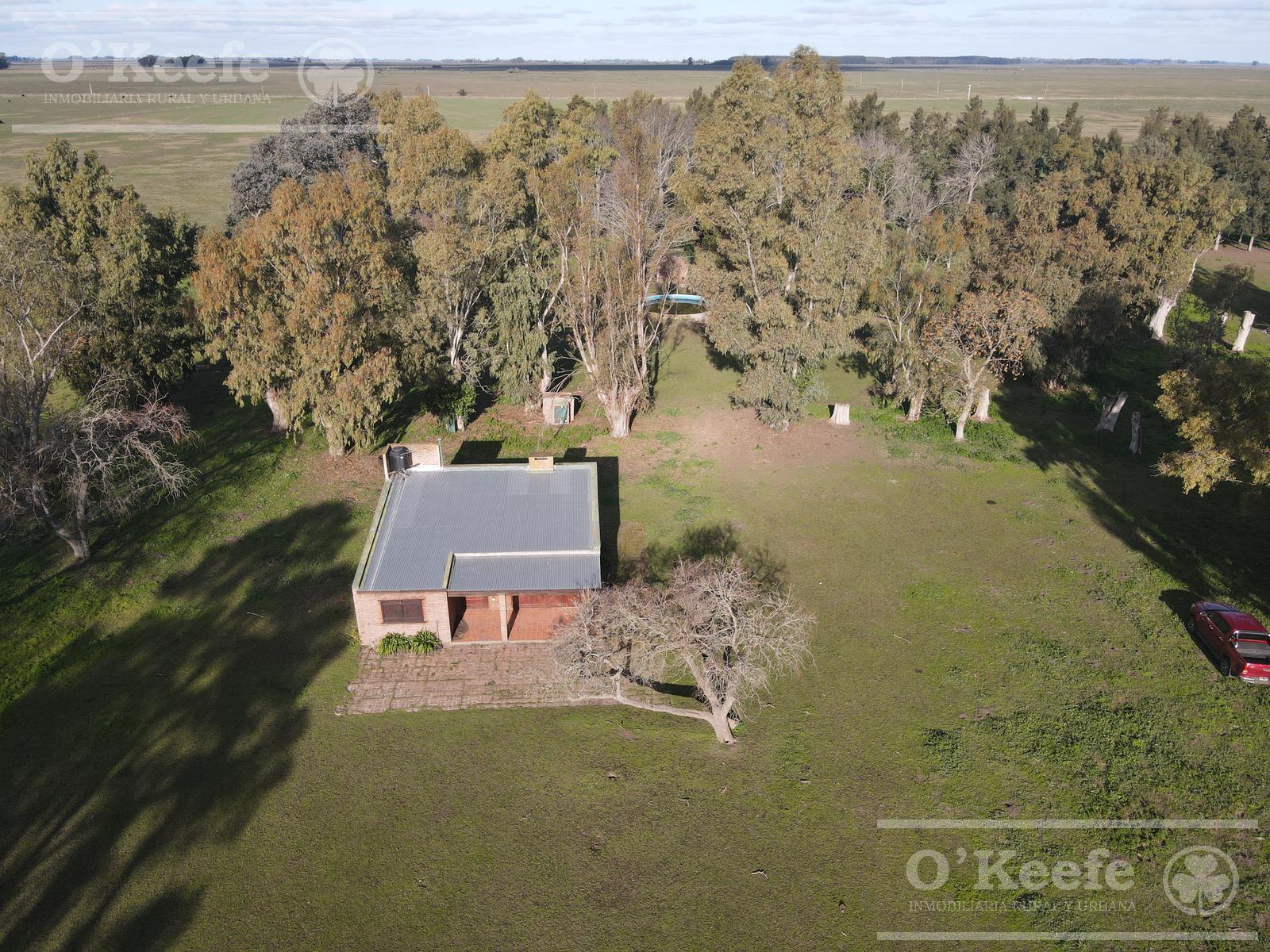 Fracción de Campo de 209 Has en Venta -  La Plata. IDEAL HORTICULTURA !!!