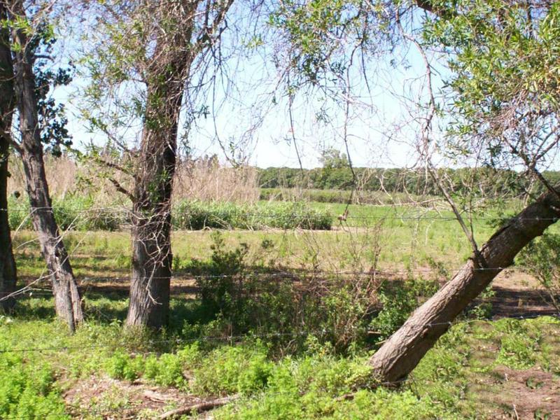 Fracción 10.000m2 en Parque Zárate