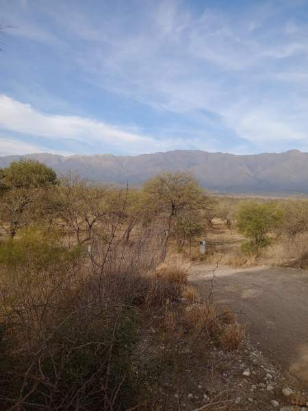 LOTE EN VENTA, CHACRAS DE SAN JAVIER