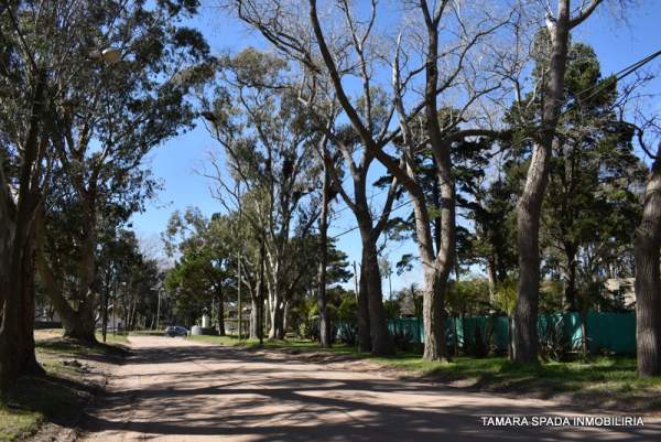 LOTE EN EL CORAZON DEL MONTE