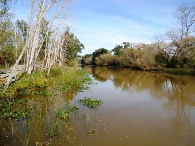 Isla en Venta en Tigre, Buenos Aires